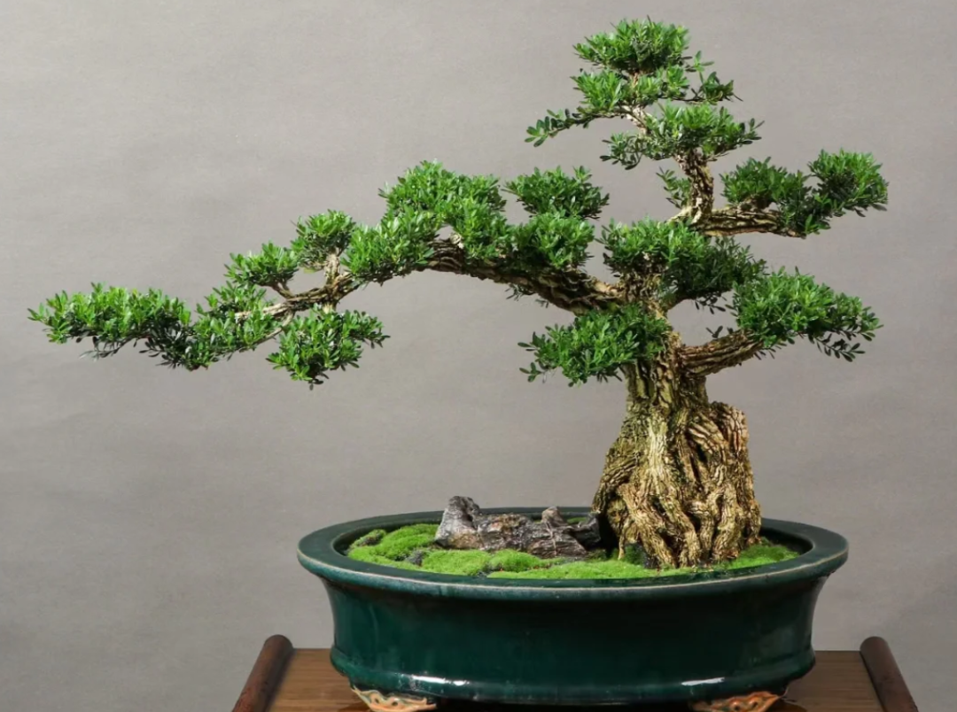 心在南湖 更有年味 | 第一屆南湖游園會即將“龍”重登場 心在南湖 更有年味 | 第一屆南湖游園會即將“龍”重登場